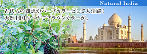 ウィングヘナカラー