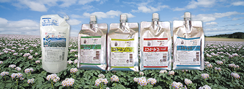 エコカールリコライス