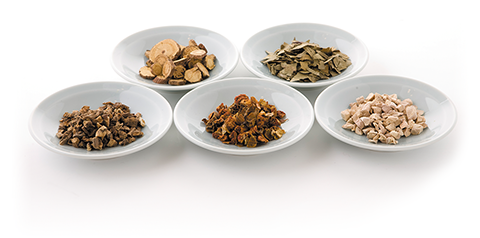 『甘草』の効能・効果