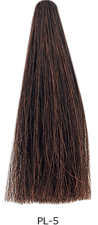 PL-5