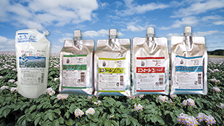 エコカールリコライス