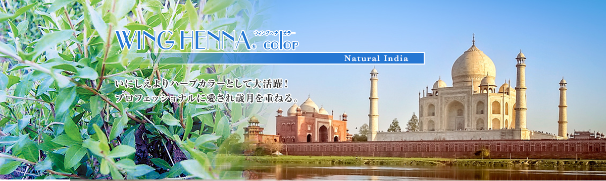 ウィングヘナカラー