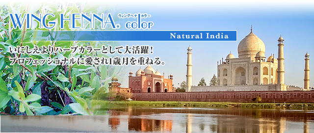ウィングヘナカラー